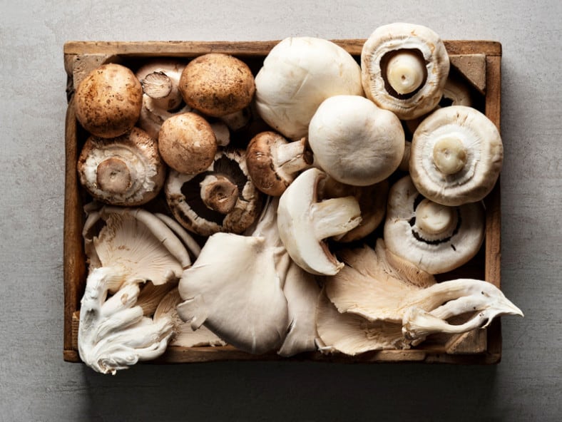 Mushrooms